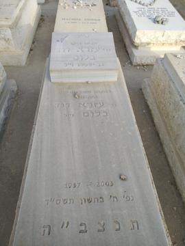 תמונת מצבה
