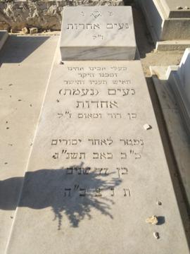 תמונת מצבה