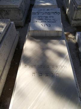 תמונת מצבה