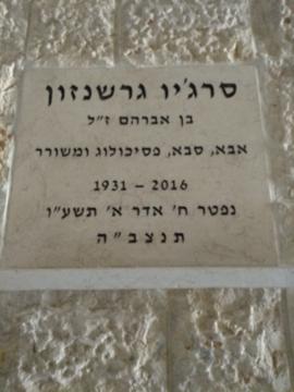 תמונת מצבה