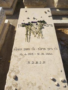תמונת מצבה