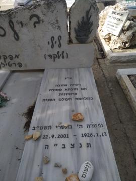 תמונת מצבה