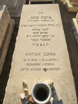 תמונת מצבה