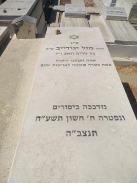 תמונת מצבה