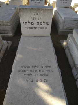 תמונת מצבה