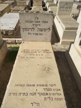 תמונת מצבה