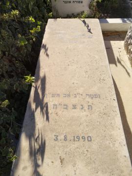 תמונת מצבה