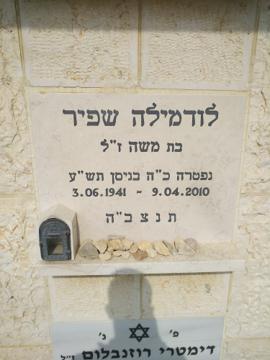 תמונת מצבה