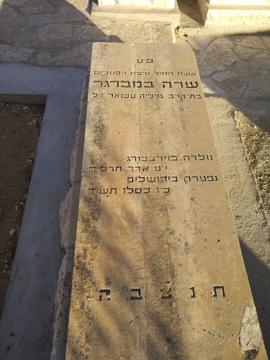 תמונת מצבה