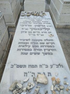 תמונת מצבה