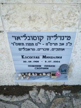 תמונת מצבה