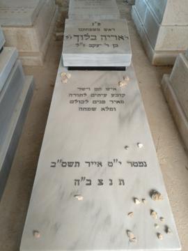 תמונת מצבה