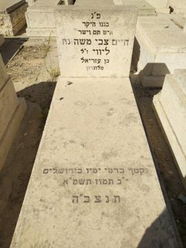 תמונת מצבה
