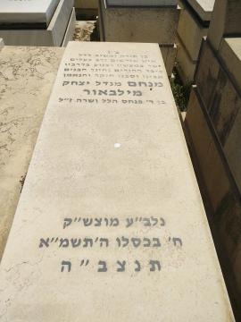 תמונת מצבה
