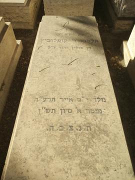 תמונת מצבה
