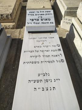 תמונת מצבה