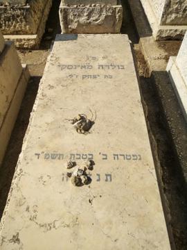 תמונת מצבה