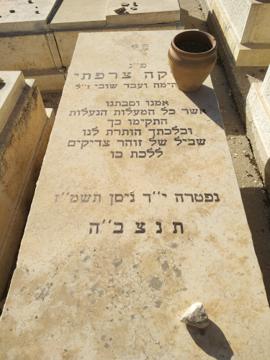 תמונת מצבה