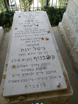 תמונת מצבה