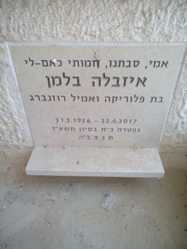 תמונת מצבה