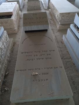 תמונת מצבה