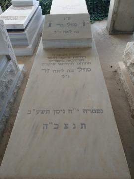 תמונת מצבה