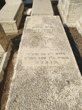 תמונת מצבה