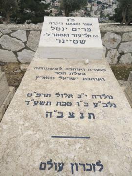 תמונת מצבה