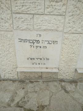 תמונת מצבה