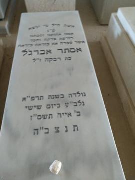 תמונת מצבה