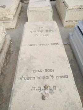 תמונת מצבה