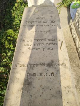 תמונת מצבה