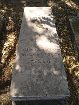 תמונת מצבה