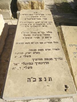 תמונת מצבה