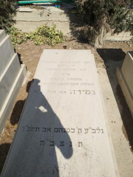 תמונת מצבה