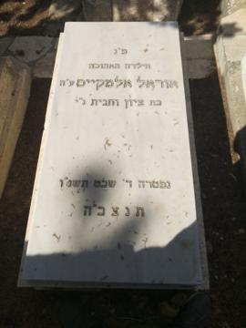 תמונת מצבה