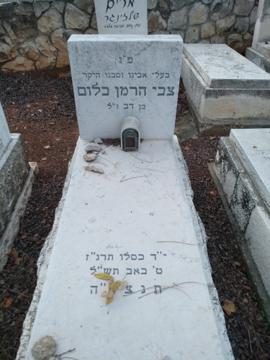 תמונת מצבה