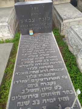 תמונת מצבה