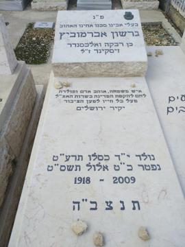 תמונת מצבה