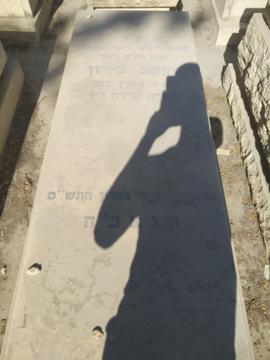 תמונת מצבה