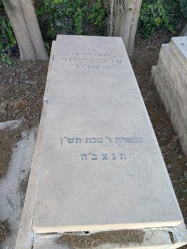 תמונת מצבה