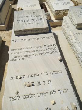 תמונת מצבה