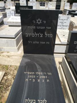 תמונת מצבה