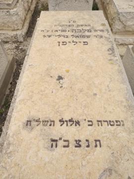 תמונת מצבה