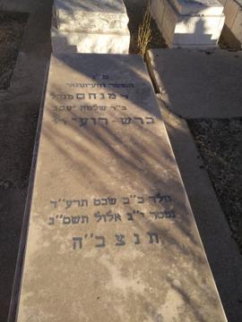 תמונת מצבה
