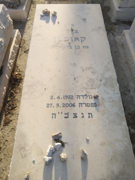 תמונת מצבה