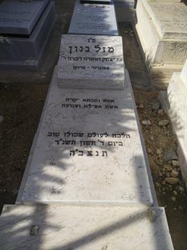 תמונת מצבה