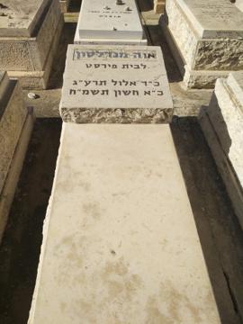 תמונת מצבה