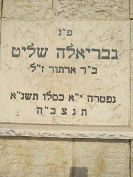 תמונת מצבה