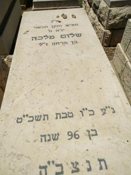 תמונת מצבה